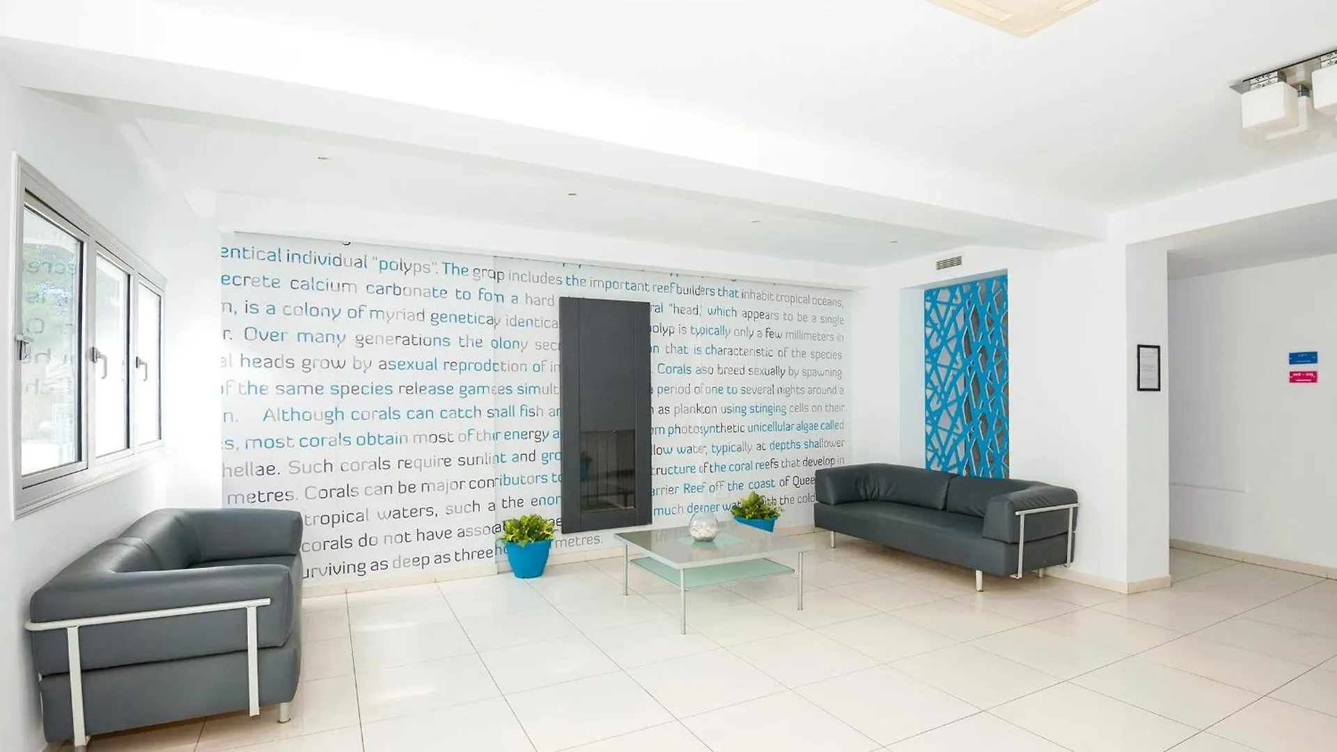 Calypso - Coralli Beachfront Apartment Protaras Cyprus